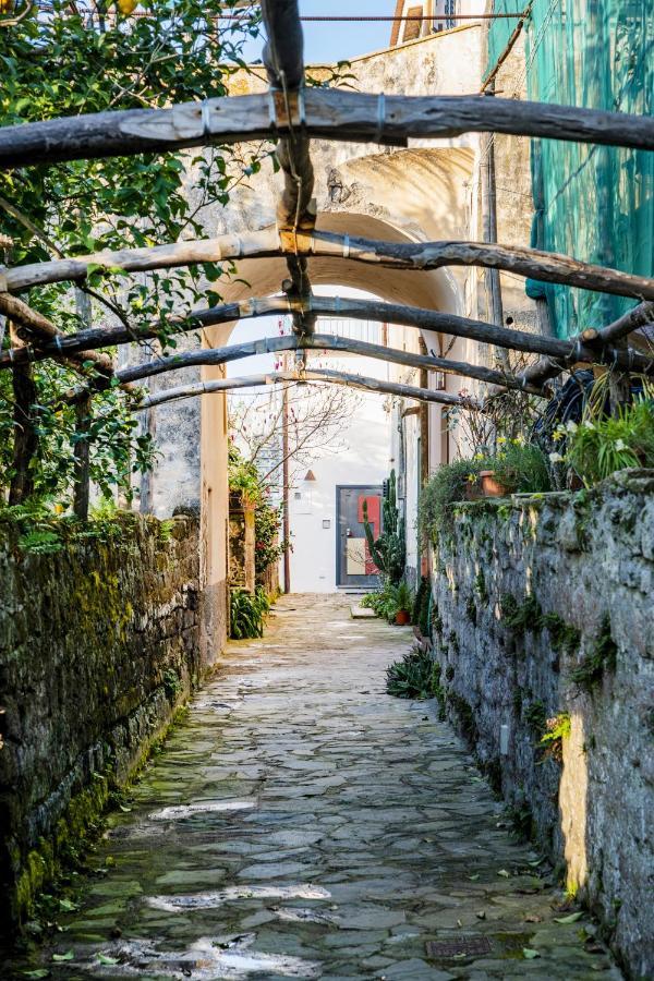 Mirasole House Villa Massa Lubrense Dış mekan fotoğraf